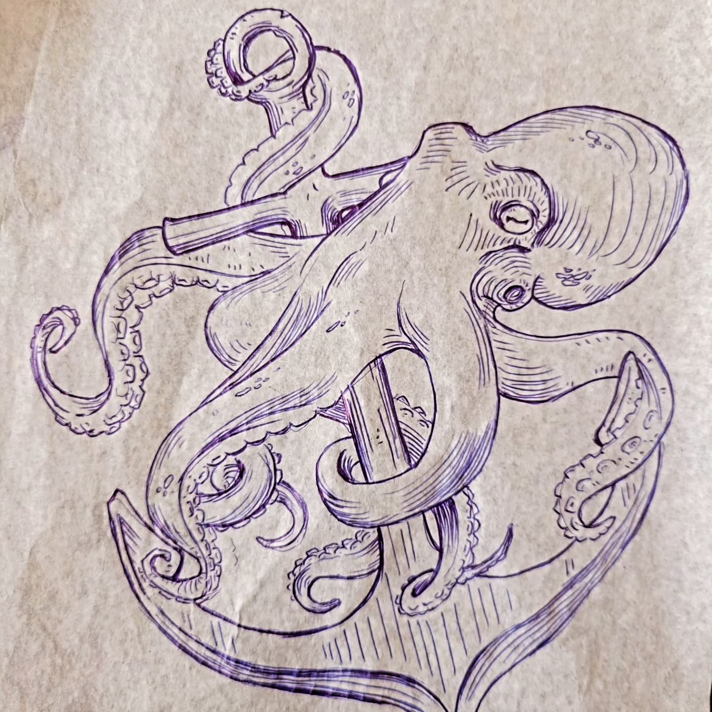 Octopus & Anchor · Original ink design