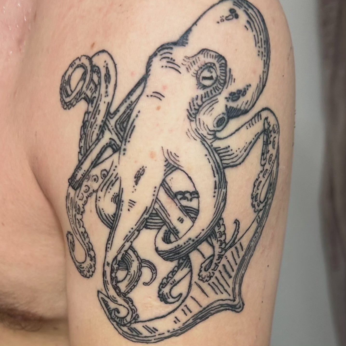 Octopus & Anchor · Tattooed