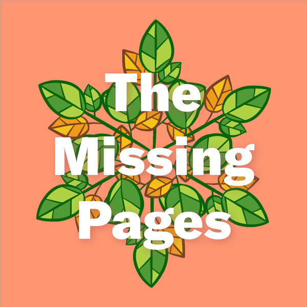 The Missing Pages logo design by Salar Salahi